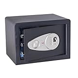 BTV | Caja Fuerte TECNA 250 | Caja de Seguridad | Caja Fuerte Biométrica con Lector de Huella...